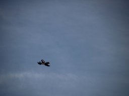 fliegen0803 16